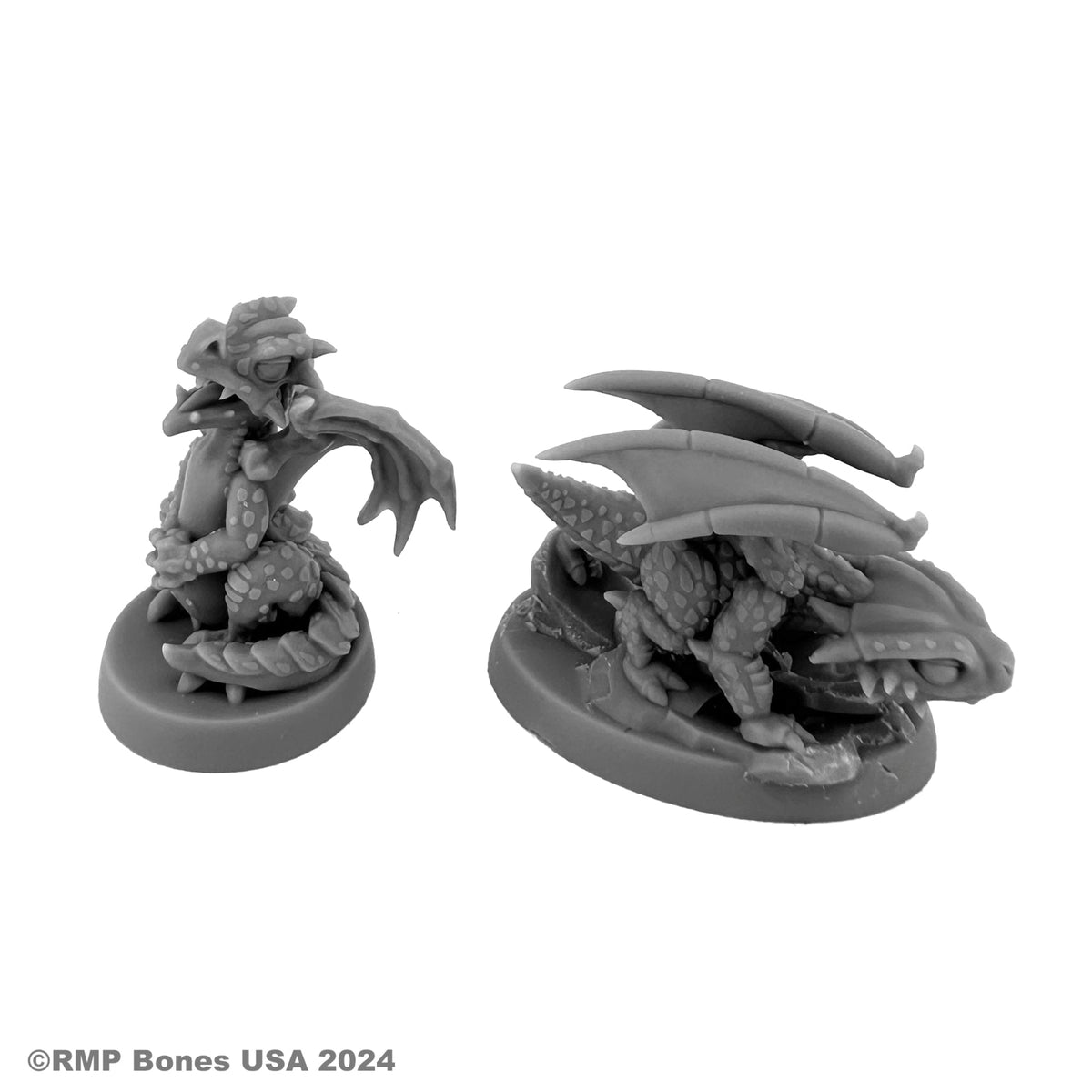 Dragon Hatchlings (2)
