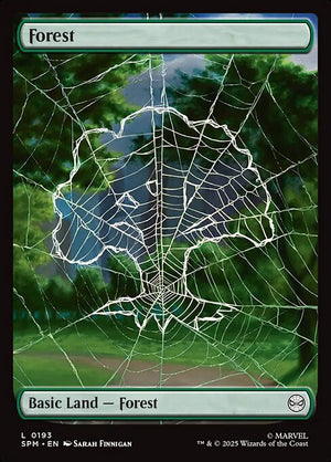 Forest Regular Foil (ingles) 193 | Singles MTG en PiedraBruja