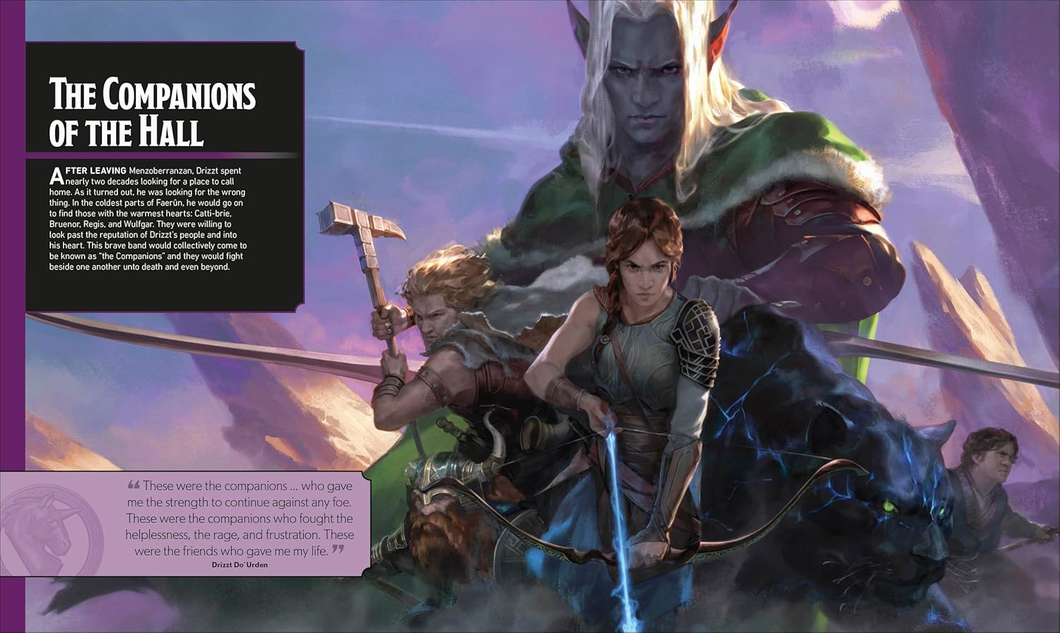 The Legend of Drizzt Visual Dictionary