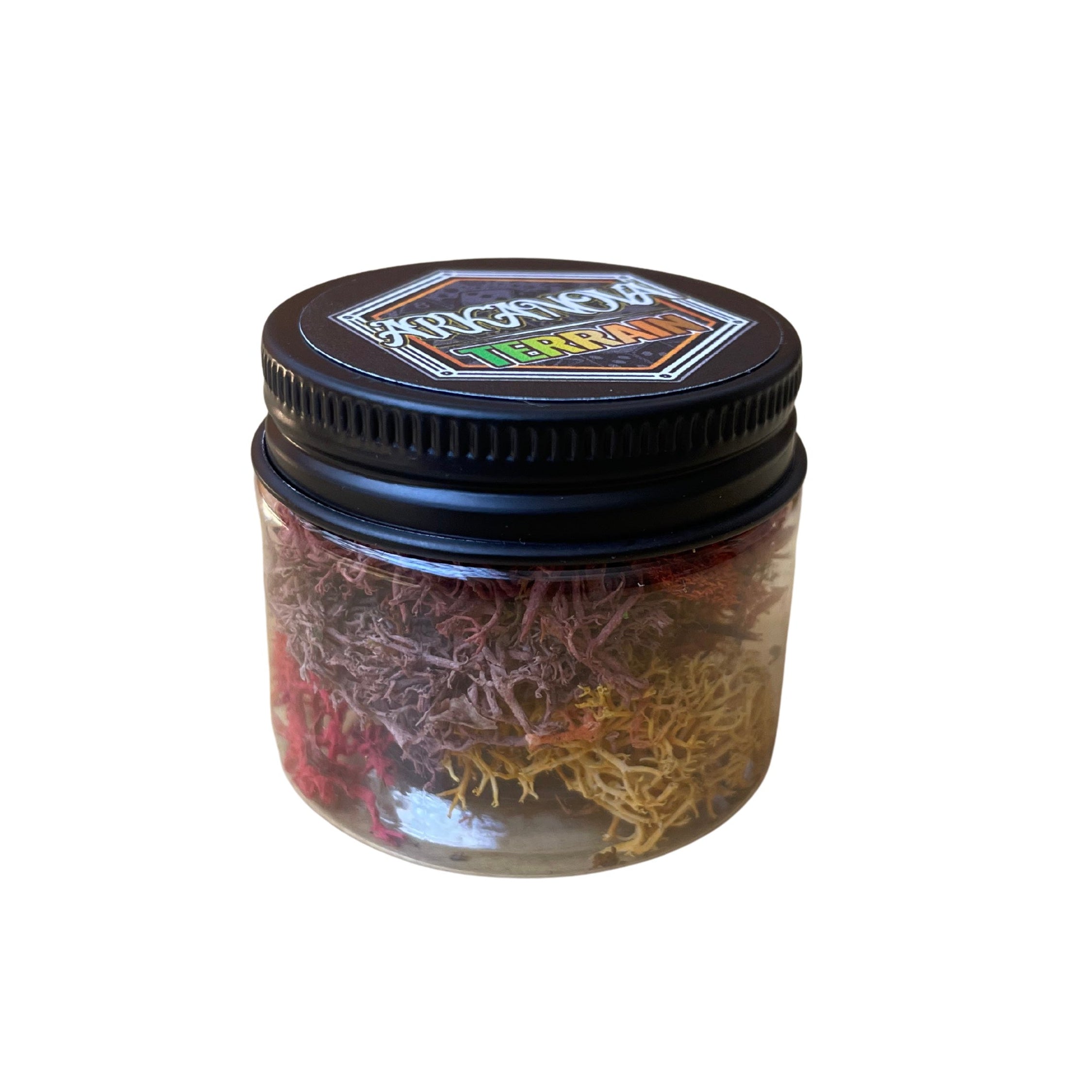 Arkanova Terrain Liquen Otoño