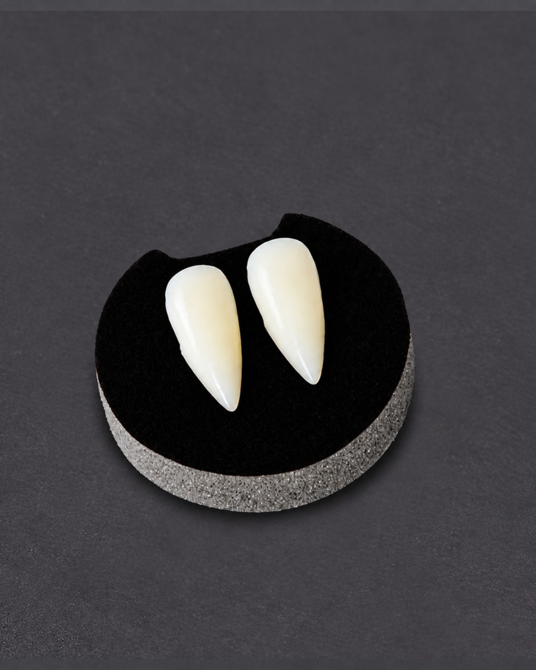 Colmillos de Vampiro 1,7 cm