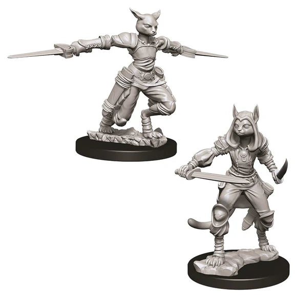 Nolzur’s Marvelous Miniatures: Unpainted Minis Wave 9 - Female Tabaxi Rogue