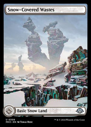 Snow-Covered Wastes Regular 309 (Ingles) | Singles y cartas sueltas de Magic: The Gathering en PiedraBruja Chile