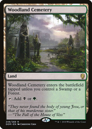 Woodland Cemetery Regular Foil (ingles) 248 | Singles MTG en PiedraBruja