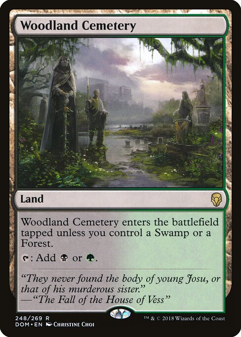 Woodland Cemetery Regular Foil (ingles) 248 | Singles MTG en PiedraBruja