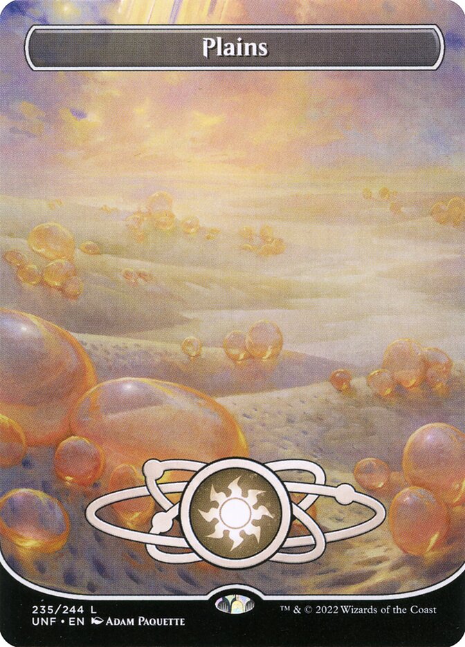 Plains Borderless (ingles) 235