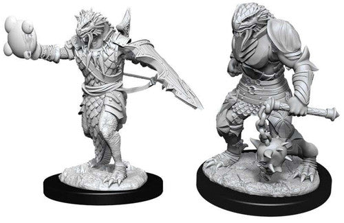 Nolzur’s Marvelous Miniatures: Unpainted Minis Wave 11 - Male Dragonborn Paladin