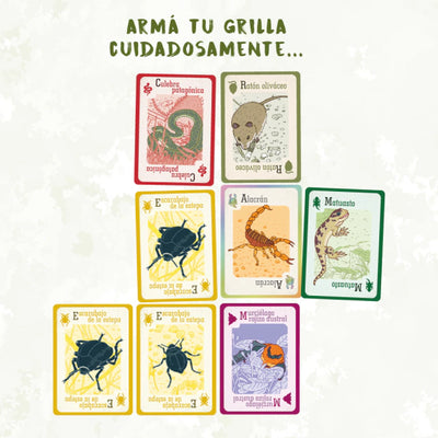 Bicharracos | Juegos de mesa para todas las edades en PiedraBruja Chile