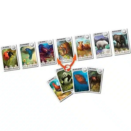 Cardline: Animales