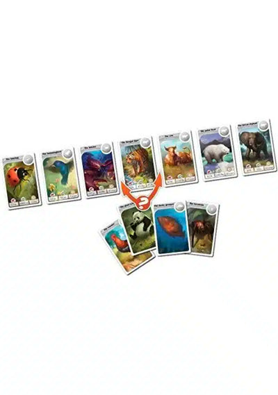 Cardline - Animales | Juegos de mesa para todas las edades en PiedraBruja Chile