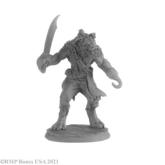 Hakkle Blackhook, Gnoll Pirate