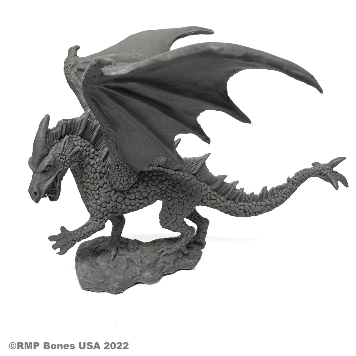 Young Ice Dragon