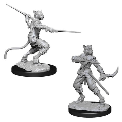 Nolzur’s Marvelous Miniatures: Unpainted Minis Wave 7 - Male Tabaxi Rogue