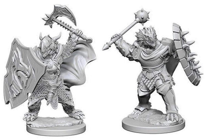 Nolzur’s Marvelous Miniatures: Unpainted Minis Wave 4 - Dragonborn Male Paladin