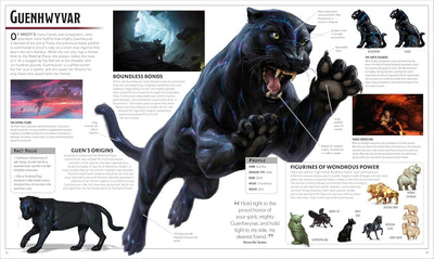 The Legend of Drizzt Visual Dictionary | Dungeons & Dragons y accesorios D&D en PiedraBruja Chile