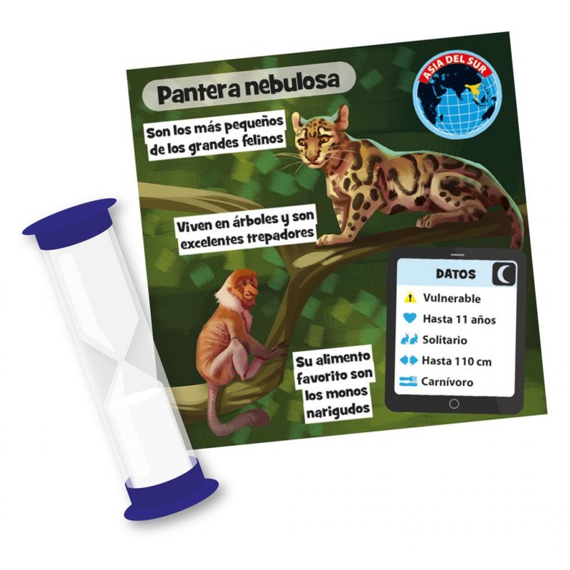 Ejemplo de cartas el juego de mesa educativo Brainbox