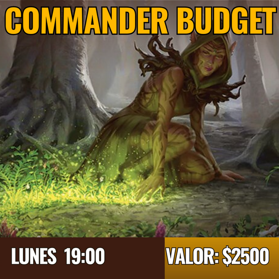 Torneo Magic Budget Commander