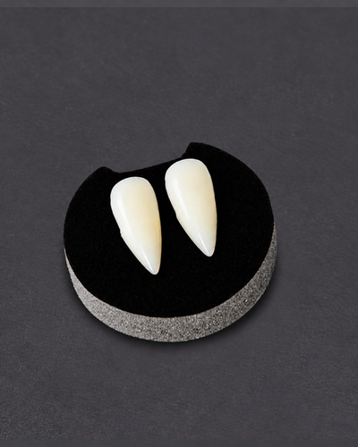 Colmillos de Vampiro 1,7 cm
