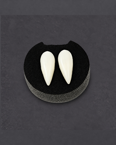 Colmillos de Vampiro 1,9 cm