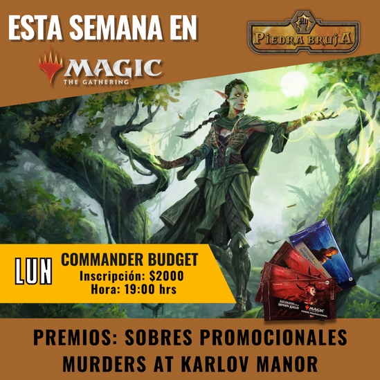 Torneo Magic Budget Commander