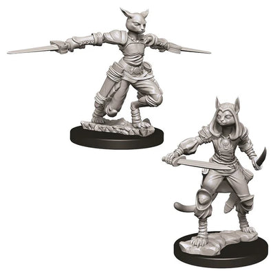 Nolzur’s Marvelous Miniatures: Unpainted Minis Wave 9 - Female Tabaxi Rogue