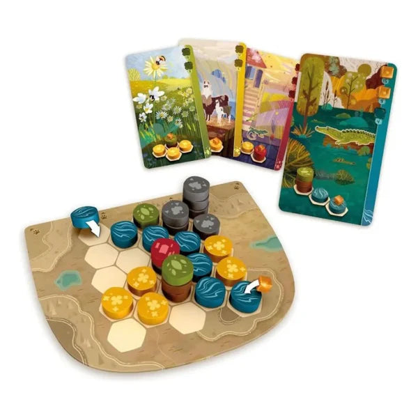 Componentes del juego de mesa Harmonies