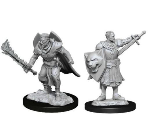 MINI Pathfinder Minis Deepcuts Wave 14 Human Champion Male