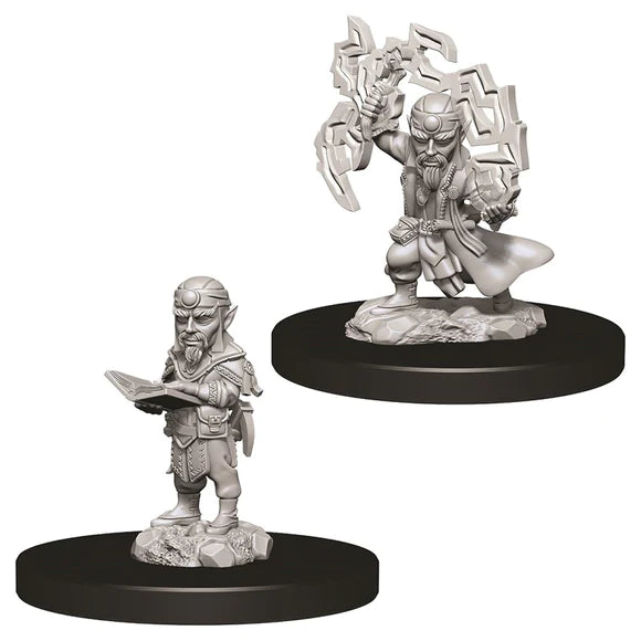 Pathfinder Deep Cuts Male Gnome Sorcerer