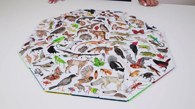 Ojo de Aguila - Animales del Bosque del Sur | Rompecabezas e ingenios para niños, desafía su mente en PiedraBruja Chile