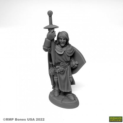 Miniatura Sir Danarel the Holy | Piedra Bruja 