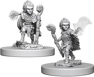 Pathfinder Deep Cuts Unpainted Miniatures Gnome Male Druid