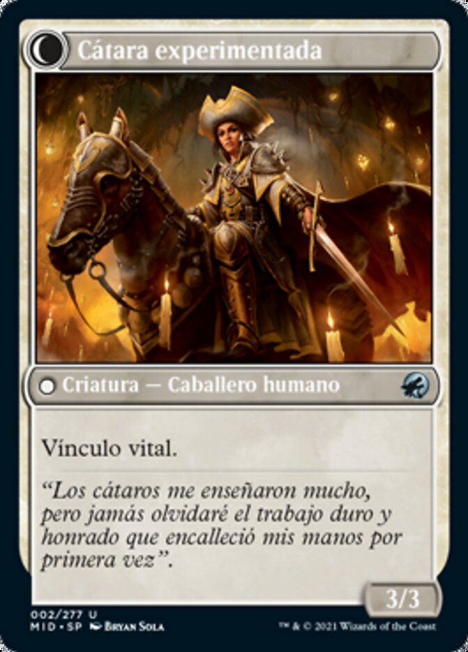Seasoned Cathar