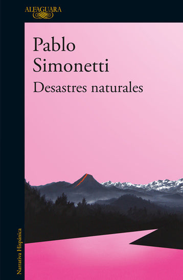 Desastres Naturales - Pablo Simonetti