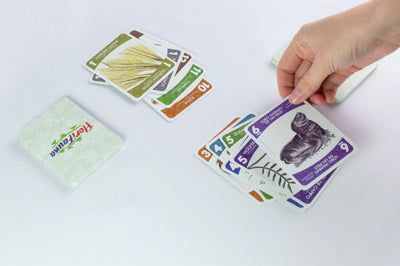 FloriFauna | Juegos de mesa para todas las edades en PiedraBruja Chile
