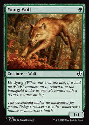 Young Wolf Regular Foil (ingles) 227