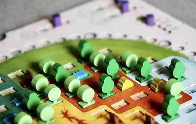 Evergreen | Juegos de mesa para todas las edades en PiedraBruja Chile
