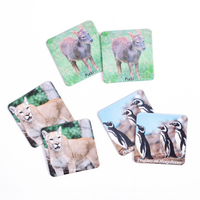 Memorice Plus Fauna Chilena | Juegos y productos educativos en PiedraBruja Chile