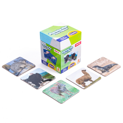 Memorice Plus Fauna Chilena | Juegos y productos educativos en PiedraBruja Chile