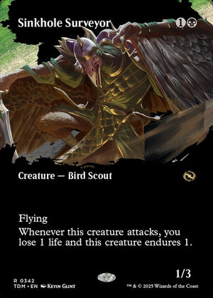 Sinkhole Surveyor Borderless  (ingles) 342 | Singles y cartas sueltas de Magic: The Gathering en PiedraBruja Chile