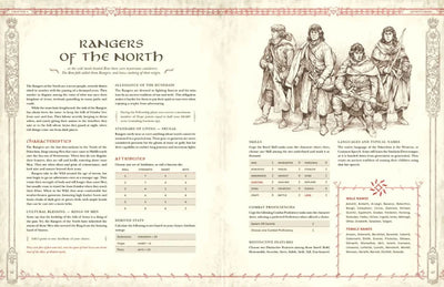 The Lord of the Rings RPG 5e - Core Rulebook | Dungeons & Dragons y accesorios D&D en PiedraBruja Chile