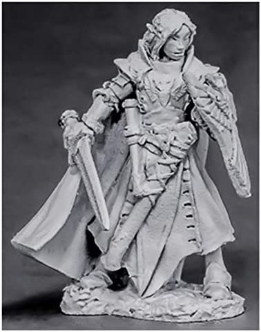 Alandin, elfo paladin