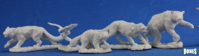 Companion Animals (5)