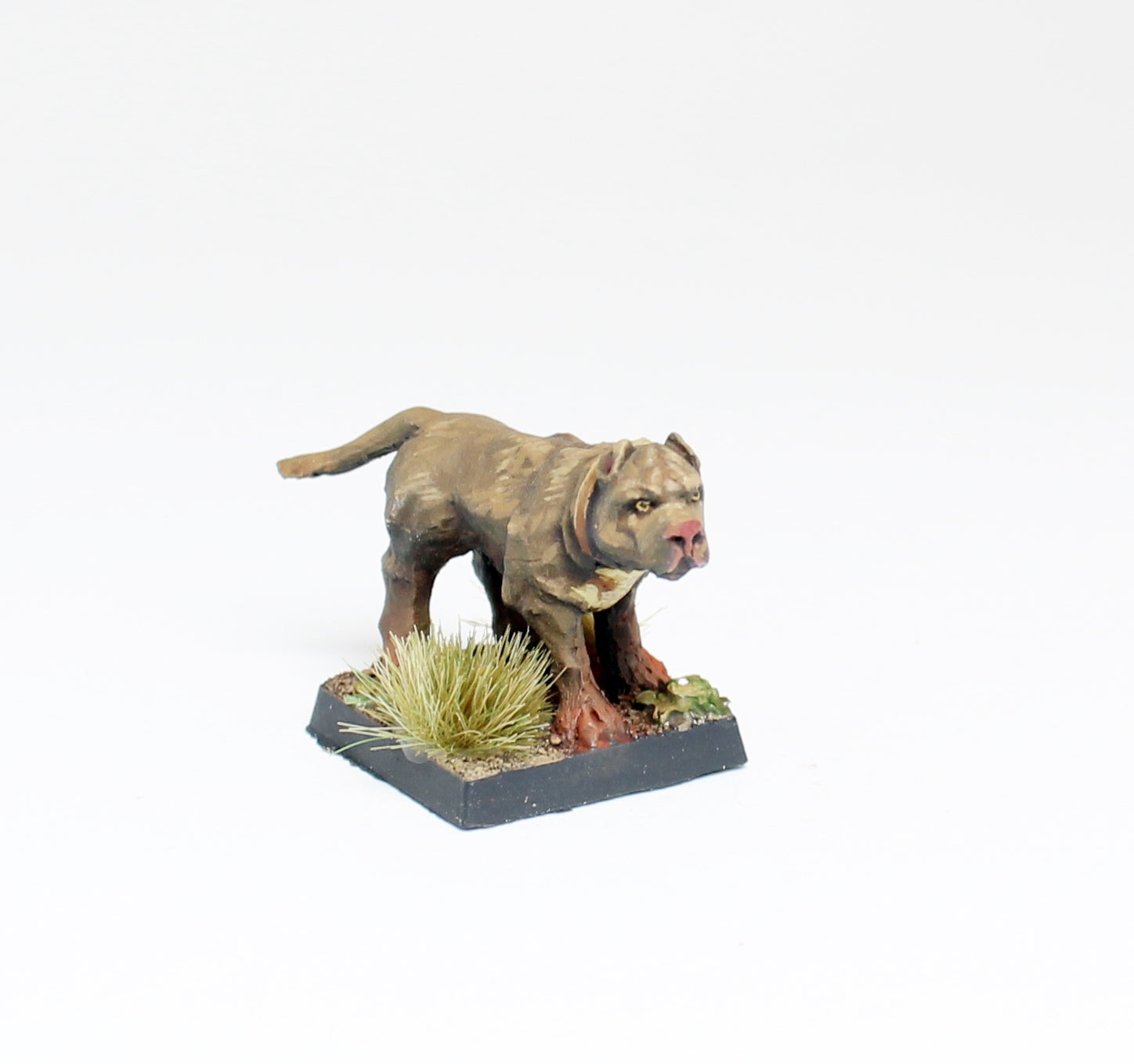 Miniaturas: Dog
