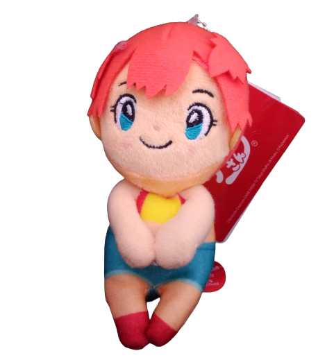 Misty Peluche Pokemon